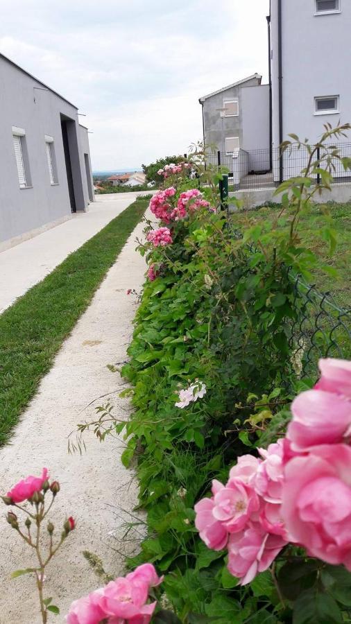 Apartments With A Parking Space Nin, Zadar - 13571 Екстер'єр фото